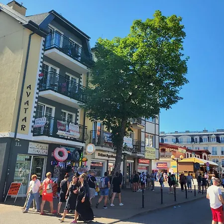 Affittacamere Avatar - 50 M Od Plazy, Centrum, Glowny Deptak 3*